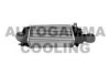 AUTOGAMMA 105767 Intercooler, charger
